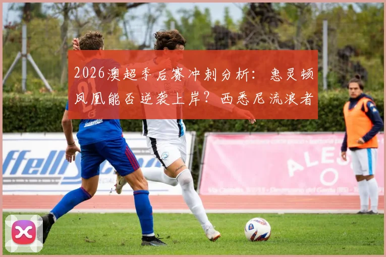 2026澳超季后赛冲刺分析:惠灵顿凤凰能否逆袭上岸?西悉尼流浪者如何摆脱垫底危机?